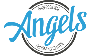 Angels Professional Grooming Centre