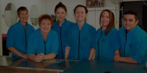 angels grooming team