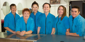 Angels Grooming Staff
