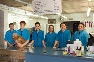 Angels grooming staff
