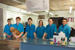 Angels grooming staff